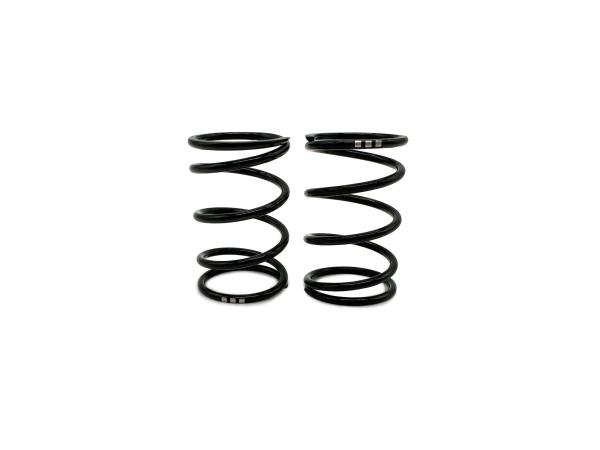 SWORKz GT Black Competition Feder Stoßdämpfer A3 (40x2.2x5.0)(GN)(2)